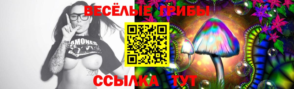 Галлюциногенные грибы прущие грибы  дарнет шоп  Псилоцибиновые грибы Cubensis  Менделеевск  Вход с VPN 